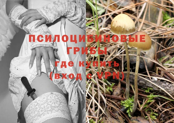 СК Осинники