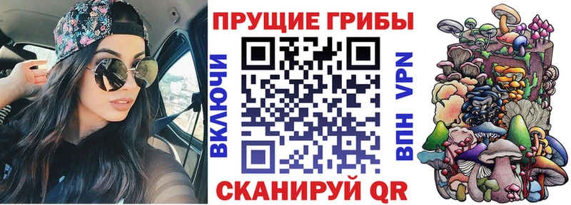 Галлюциногенные грибы мицелий  Эртиль 